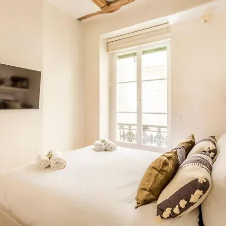 Appartement Marais-picasso, Rue Debelleyme - 4 People