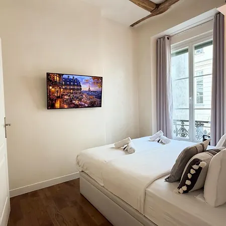 Marais-picasso, Rue Debelleyme - 4 People *